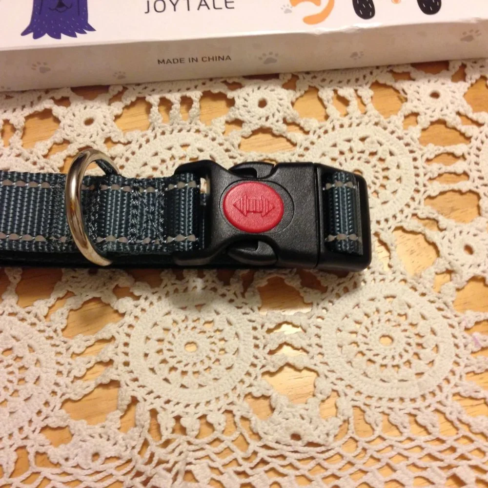 Joytale Pet Collar, Size Medium